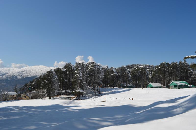 Snowfall In Patnitop