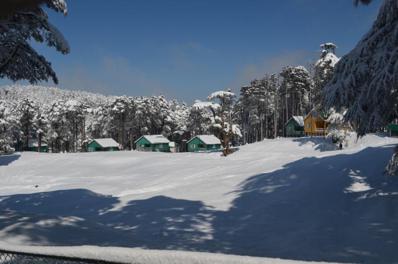 Snowfall In Patnitop